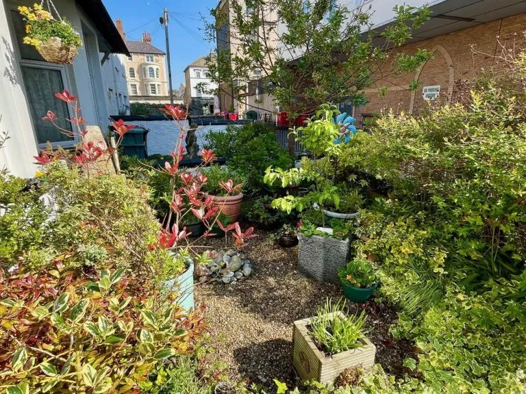 property Compatible Images}