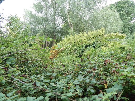 property Low res Images}