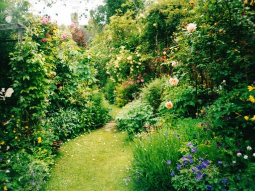 property Low res Images}