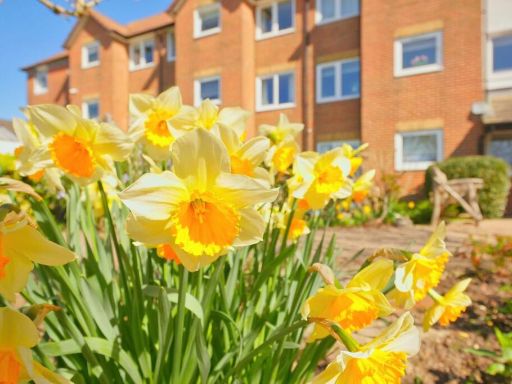 property Low res Images}