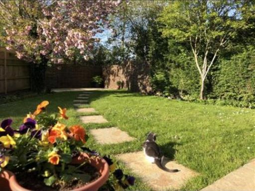 property Low res Images}