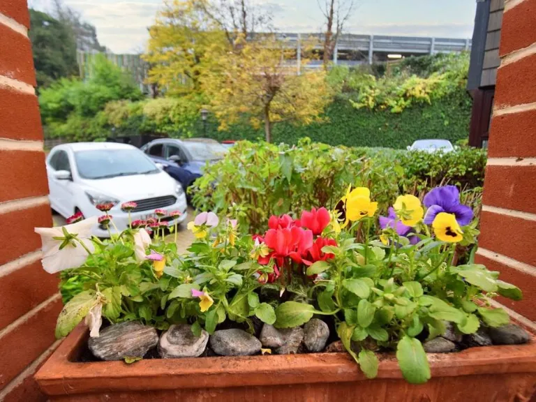 property Compatible Images}