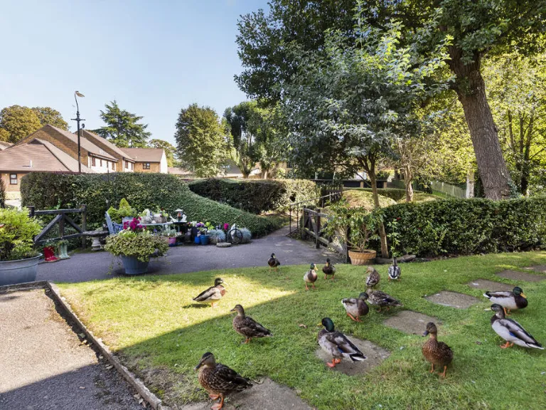 property Compatible Images}