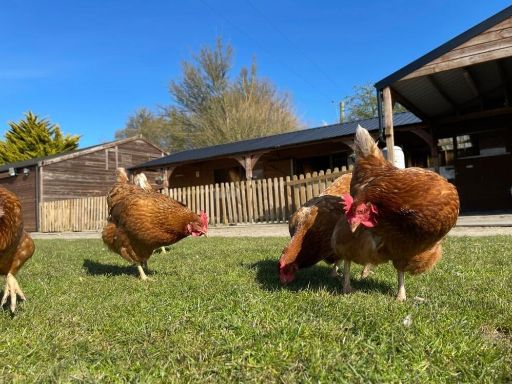 property Low res Images}