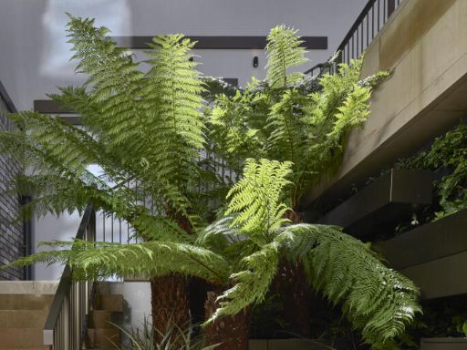 property Low res Images}