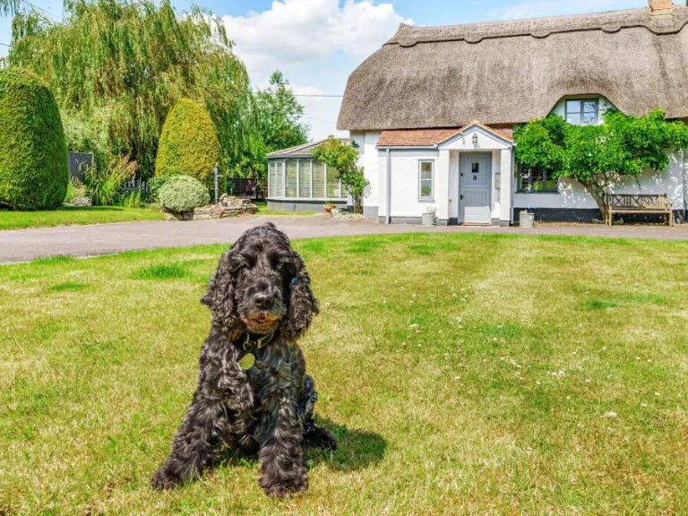property Compatible Images}