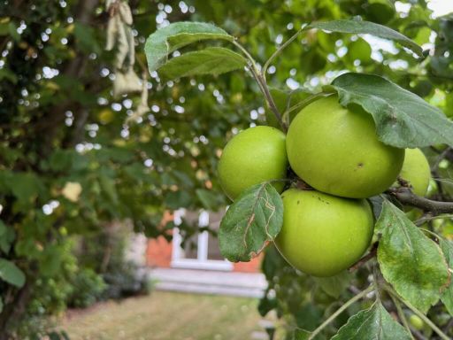 property Low res Images}