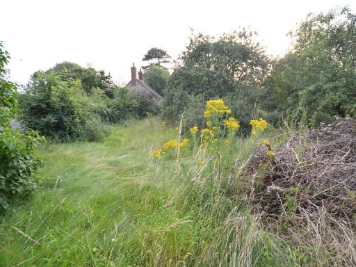 property Low res Images}