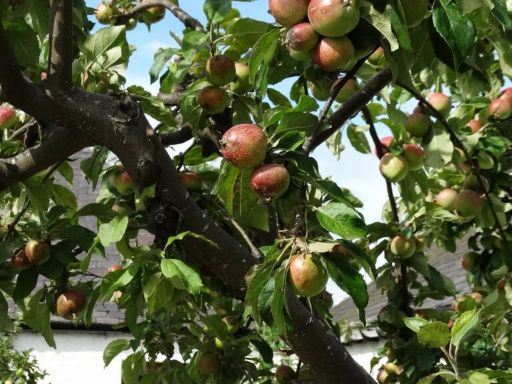 property Low res Images}