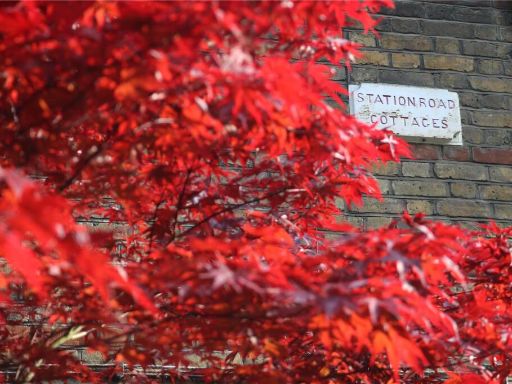 property Low res Images}