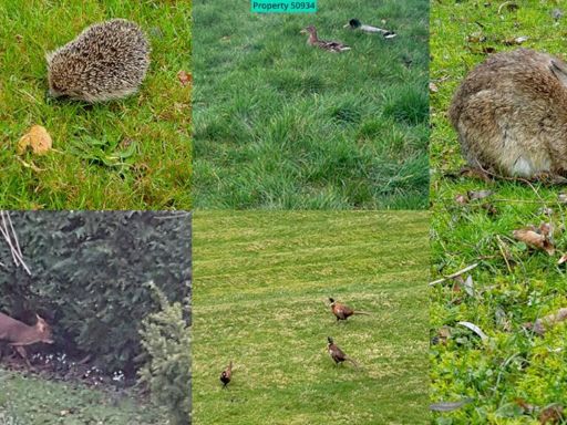 property Low res Images}