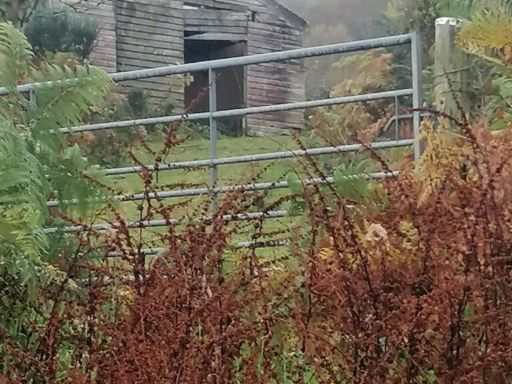 property Low res Images}