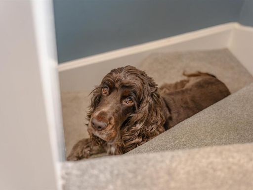 property Low res Images}