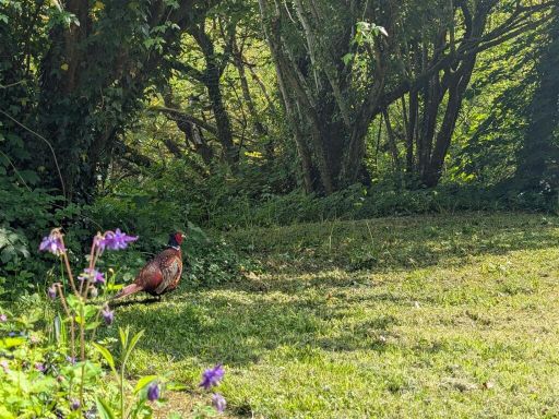 property Low res Images}