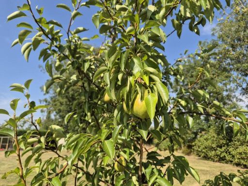 property Low res Images}