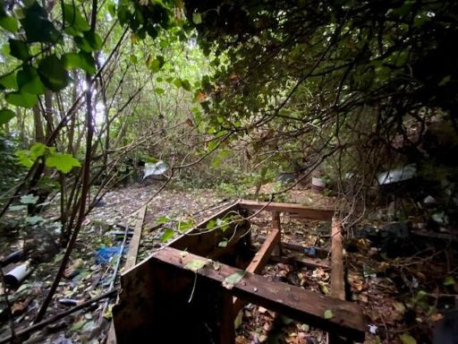 property Low res Images}