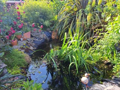 property Low res Images}