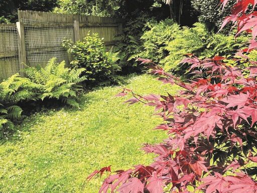 property Low res Images}