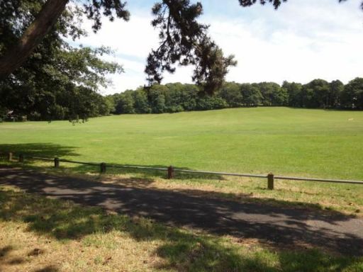 property Low res Images}