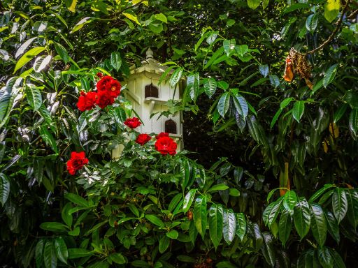 property Low res Images}