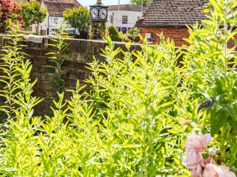 property Compatible Images}