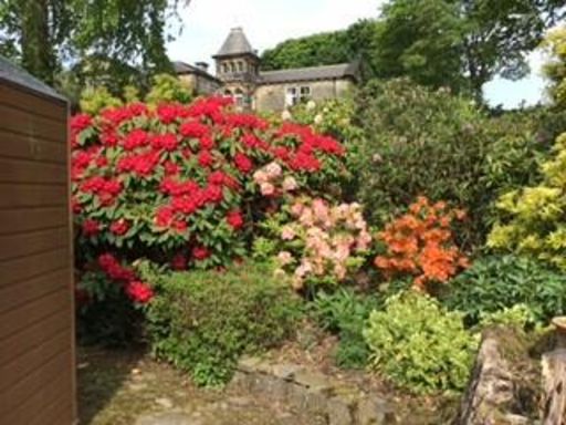 property Low res Images}