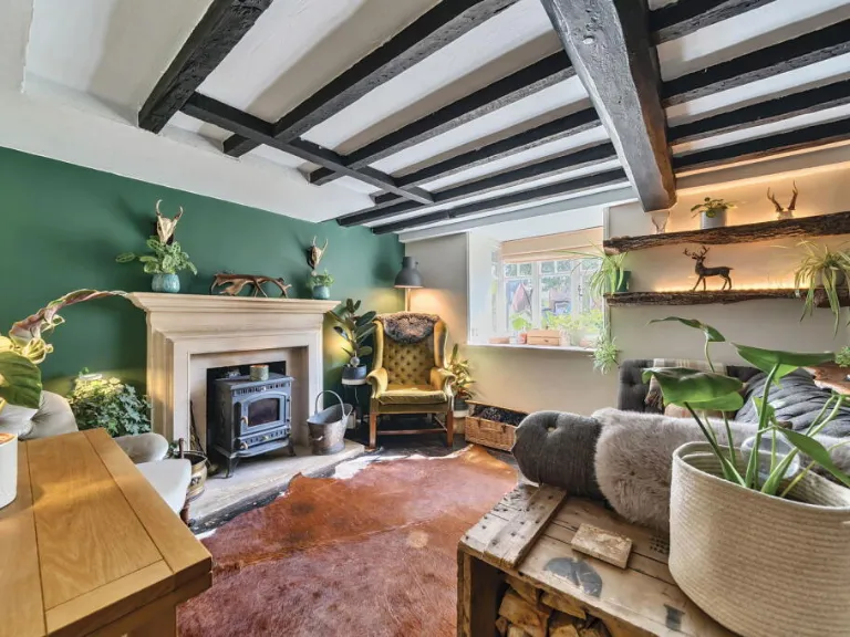 property Compatible Images}