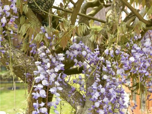 property Low res Images}