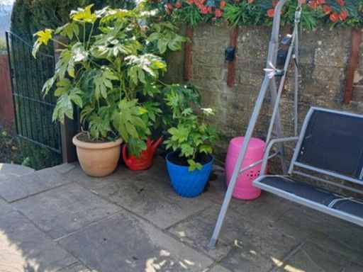 property Low res Images}