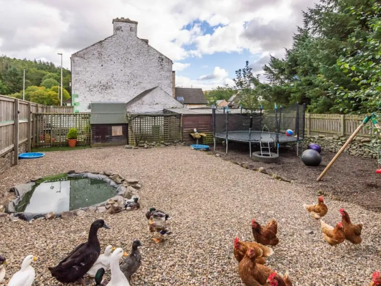 property Compatible Images}