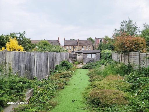 property Low res Images}