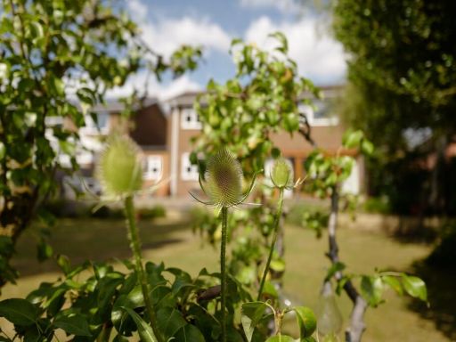 property Low res Images}