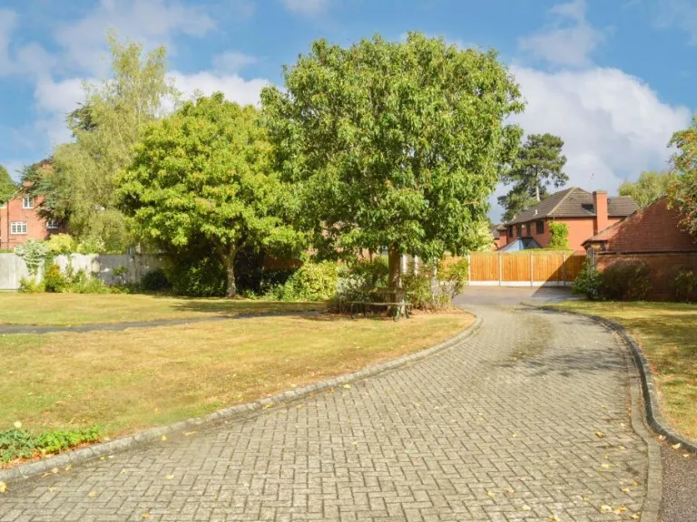 property Compatible Images}