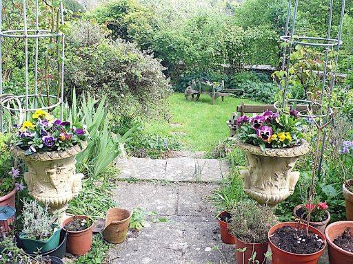 property Low res Images}