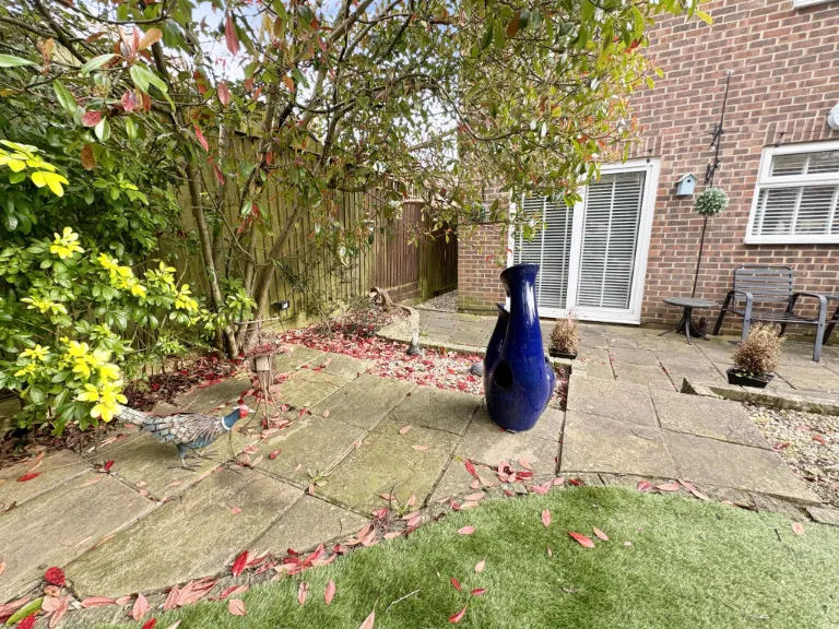 property Compatible Images}