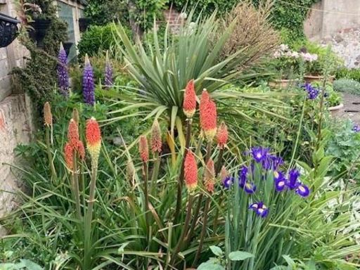 property Low res Images}