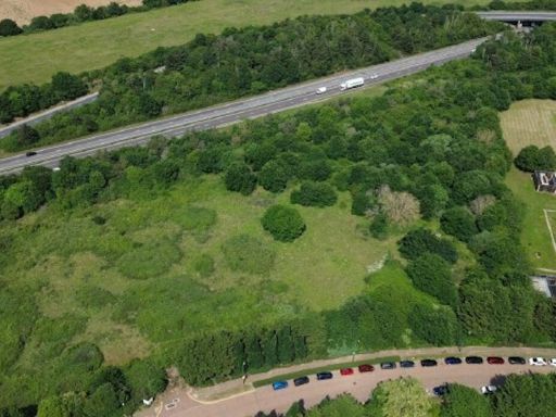 property Low res Images}