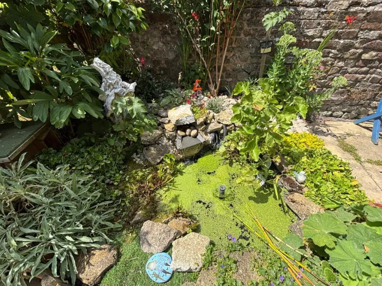 property Compatible Images}