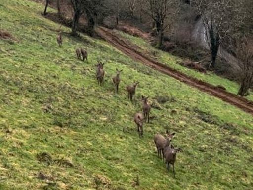 property Low res Images}