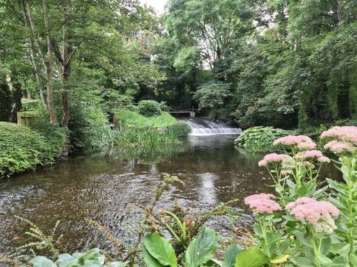 property Low res Images}