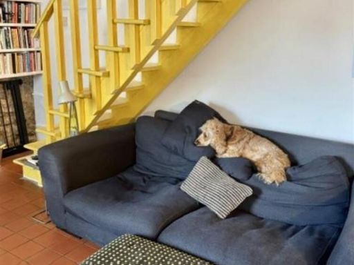 property Low res Images}