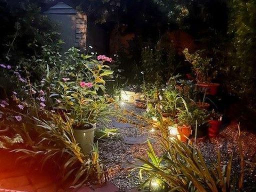 property Low res Images}