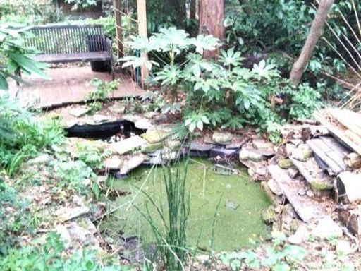 property Low res Images}