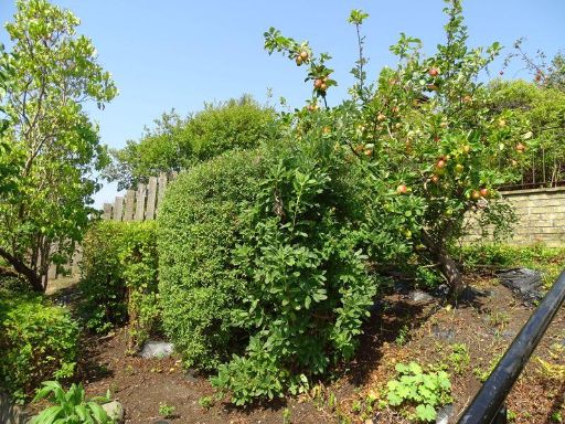 property Low res Images}