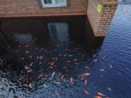 property Low res Images}