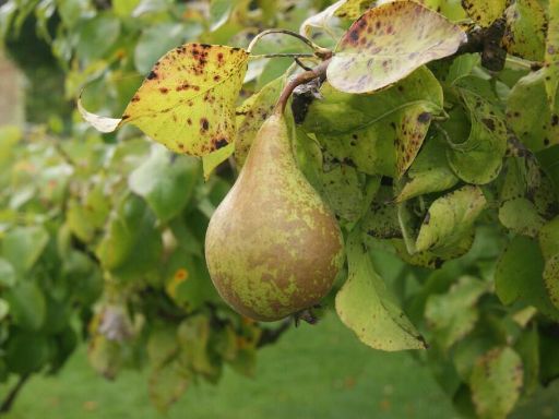 property Low res Images}