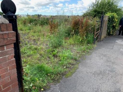 property Low res Images}