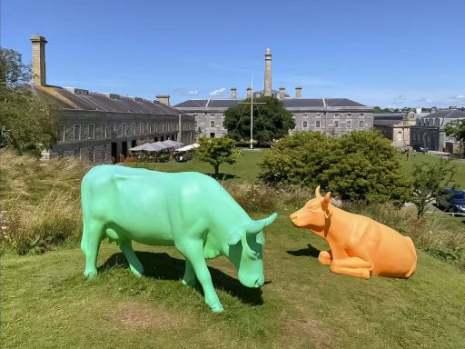 property Low res Images}