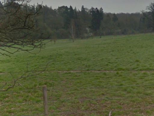 property Low res Images}