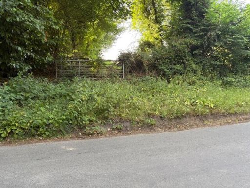 property Low res Images}